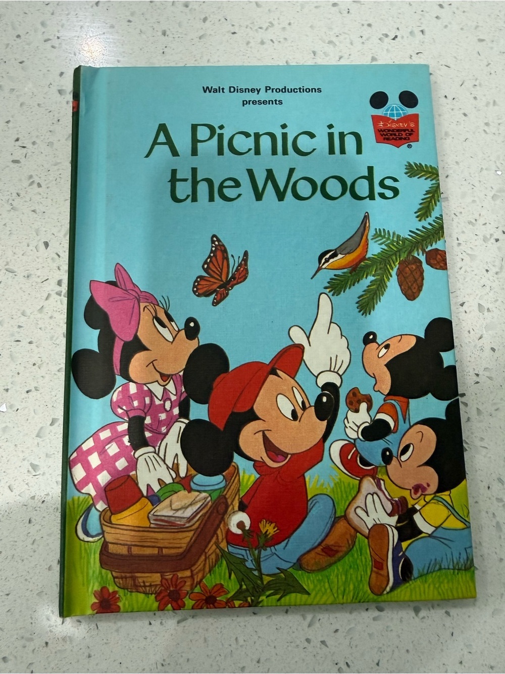 Disney Light Blue "A Picnic in the Woods" Hardcover Storybook